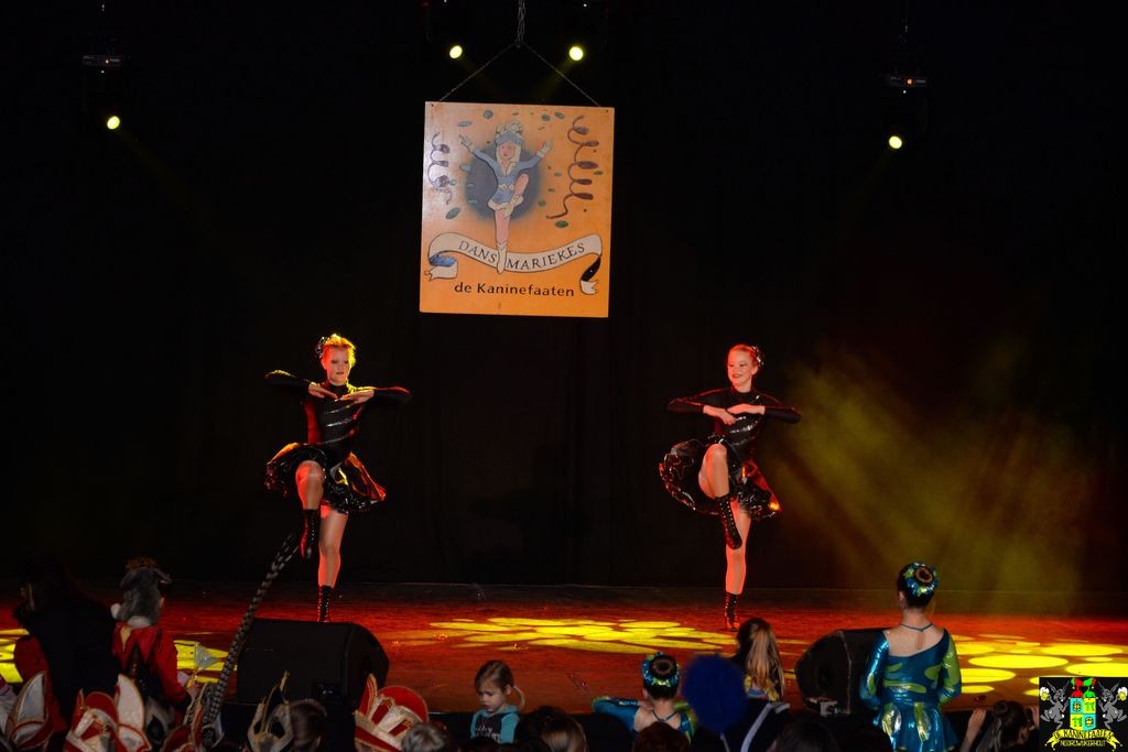 ../Images/Dansmarieke festival 2018 190.jpg